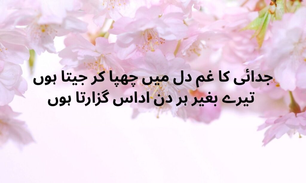 Sad Poetry (8)