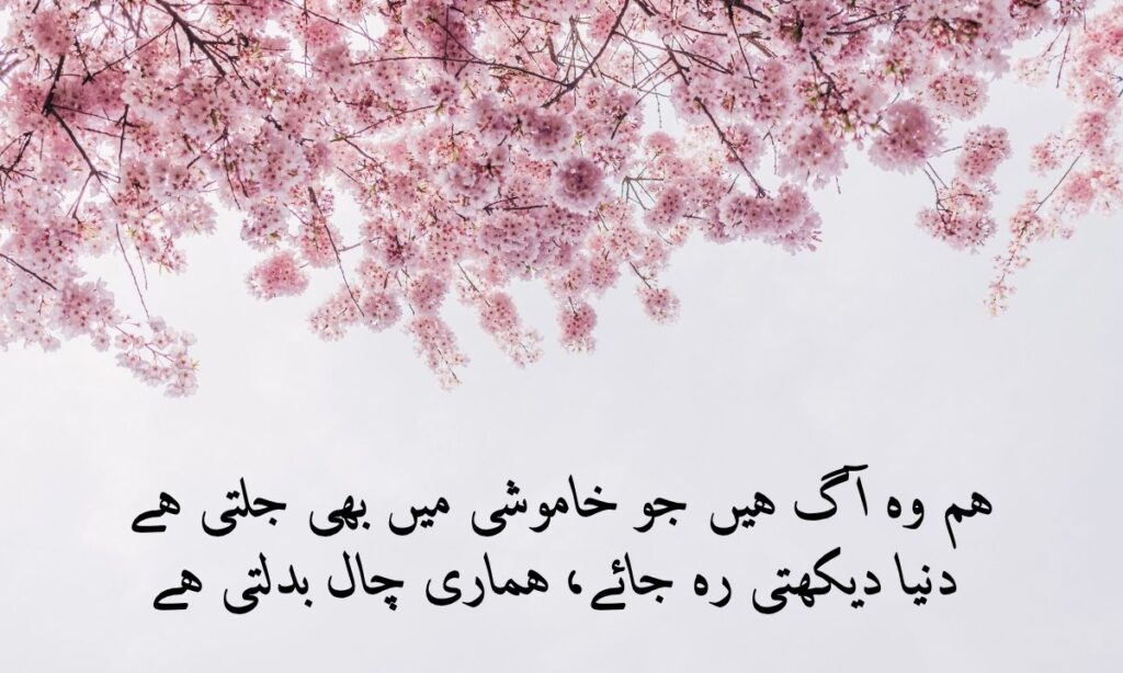 poetry (4)
