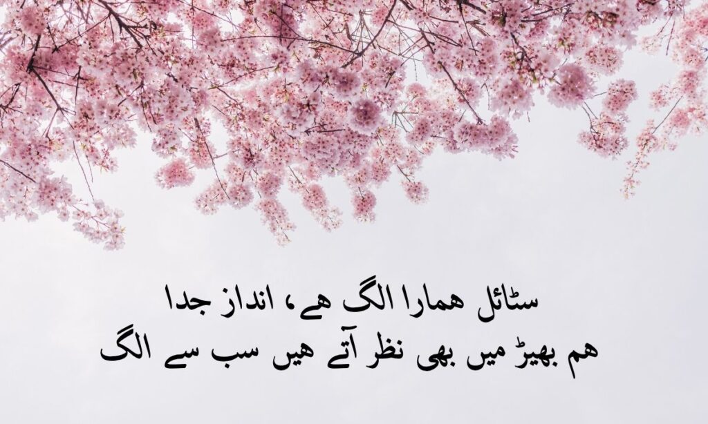 poetry (5)