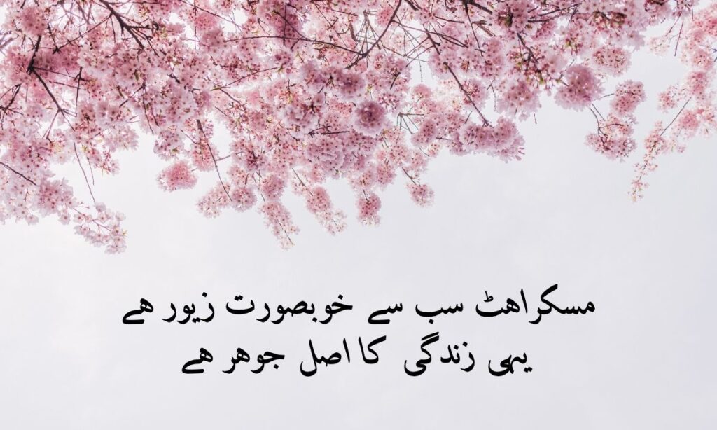 poetry (6)