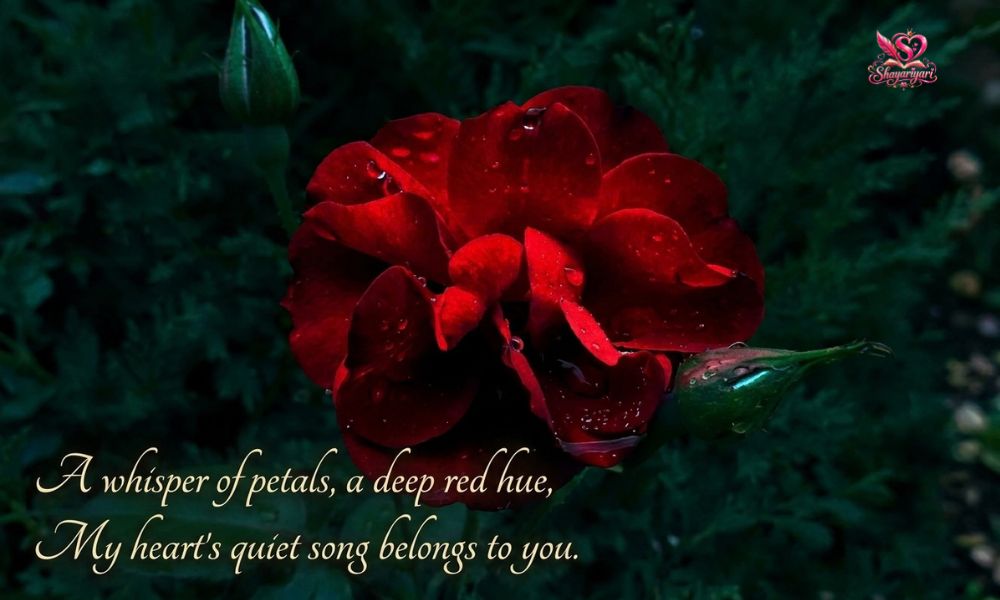 2 Line Love Shayari in English