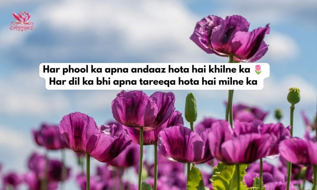 Flower Poetry in Urdu 