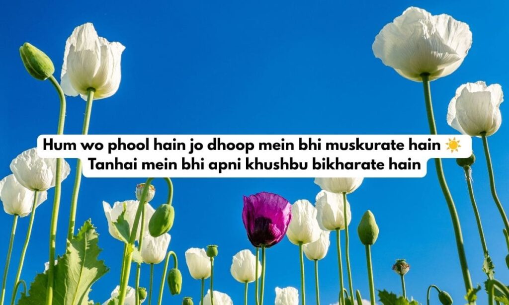 Flower Poetry in Urdu 
