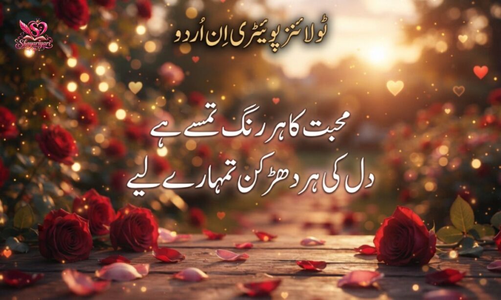 Two Lines Poetry in Urdu (12)