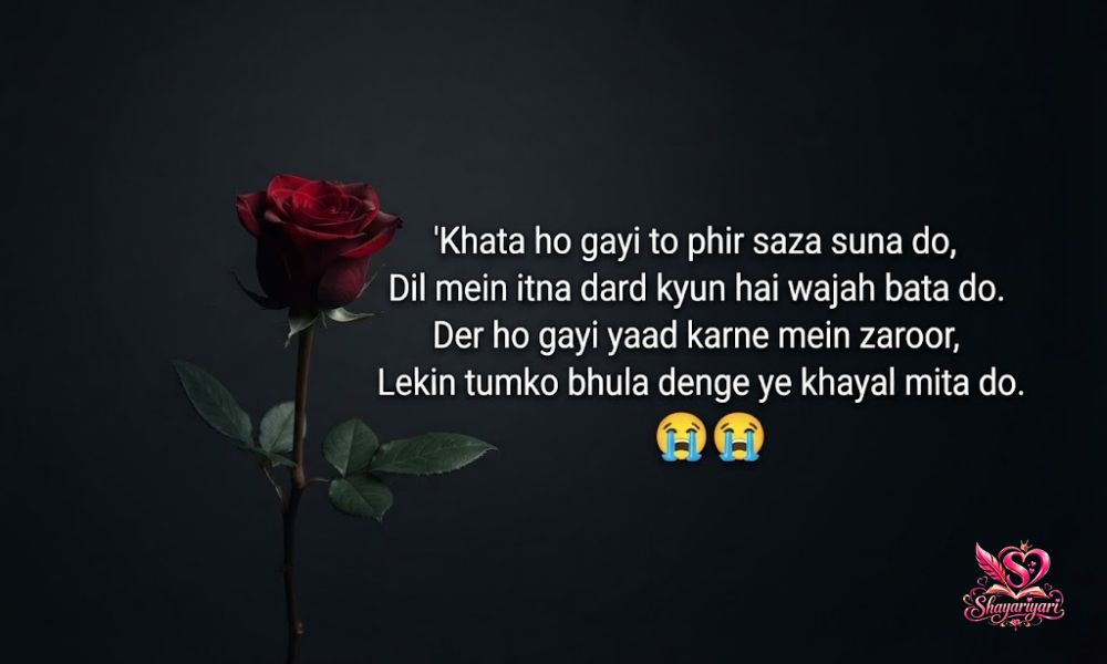 Sad Shayari in English