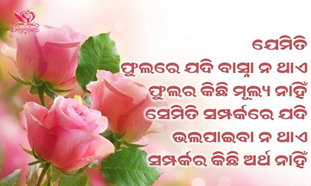  Odia Love Shayari