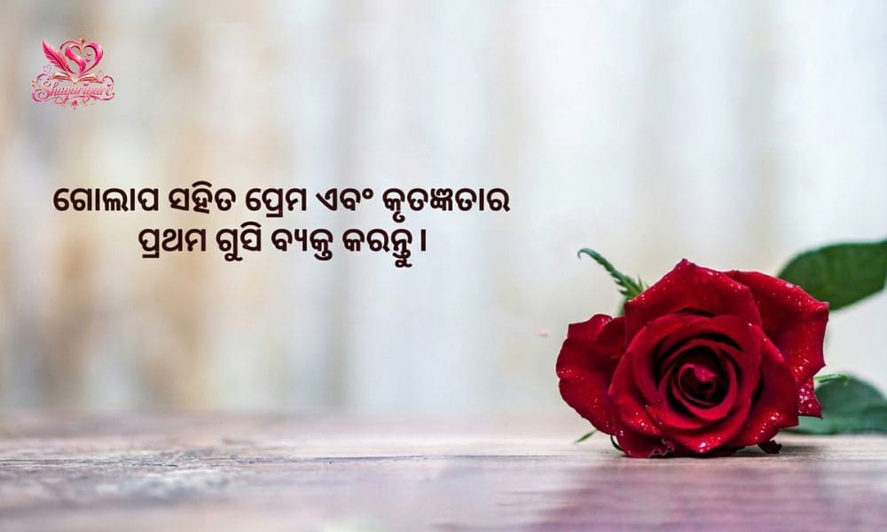 Odia Love Shayari